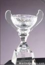 6 1/4″ x 9″ Genuine Glass Awards Cup With Base 1