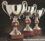 Silver Plated Trophy Cup On Mahogany Base 1