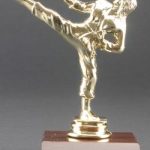 Female Karate Trophy 1