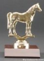 Arabian Horse Trophy 1