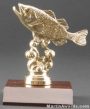 Bass Trophy 1