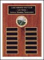 Coventry Plaques 1