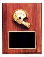 Trent Series – 7″ x 9″ Walnut Plaques with Sport Cast Relief 1