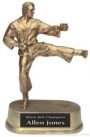 Male Karate Gold Resin Trophy 1
