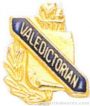 3/8″ Valedictorian School Award Pins 1