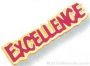 1 1/16″ Etched Soft Enamel Excellence Chenille Letter Pin 1