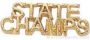 7/8″ State Champs Chenille Letter Insert Pins 1