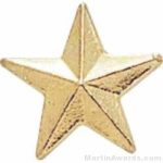 3/8″ Small Star Chenille Pin 1