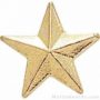 3/8″ Small Star Chenille Pin 1