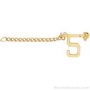 1/2″ Number 5 Year Guard with Chain 1