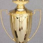 Gold Plated Cup – Men’s and Women’s Sports Trophies 1