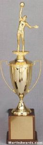 Gold Plated Cup – Men’s and Women’s Sports Trophies 1