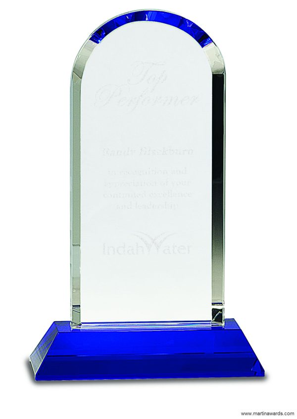 9 1/4 inch Clear Crystal Dome on Blue Pedestal Base