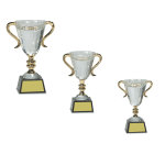 Crystal Cup with Gold Handles