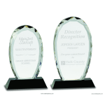 Crystal Facet Oval with Black Base Award