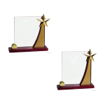 Swooping Rising Star Acrylic Award