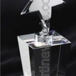 Silver Star Crystal Award