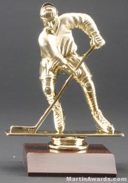 Male Hockey Trophy 1