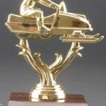 Snowmobile Trophies 1