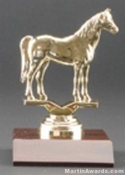 Arabian Horse Trophy 1