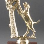 Coon In A Tree Trophy 1