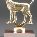 Coon Hound Trophy 1
