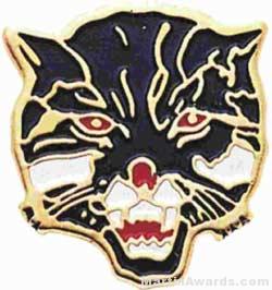 3/4″ Enameled Wildcat Mascot Pin 1