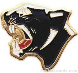 7/8″ Enameled Panther Mascot Pin 1