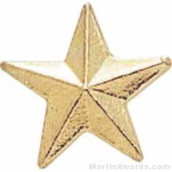 3/8″ Small Star Chenille Pin 1